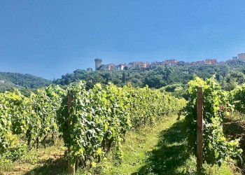 WhatsApp Image 2020-08-21 at 15.51.50 (1).jpeg - Casale Castelnuovo Magra - photo 3