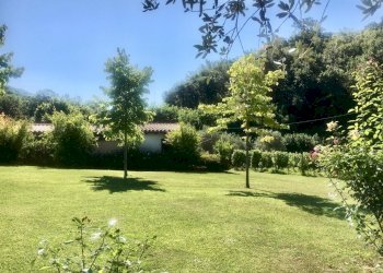 WhatsApp Image 2020-08-21 at 15.51.52 (2).jpeg - Casale Castelnuovo Magra - photo 24