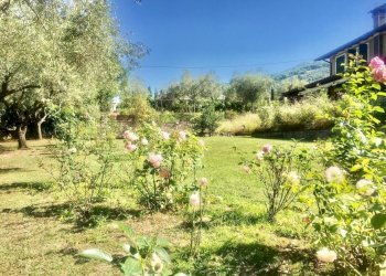 WhatsApp Image 2020-08-21 at 15.51.53.jpeg - Casale Castelnuovo Magra - photo 26