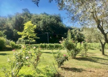 WhatsApp Image 2020-08-21 at 15.51.56 (1).jpeg - Casale Castelnuovo Magra - photo 28