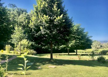 WhatsApp Image 2020-08-21 at 15.52.04 (5).jpeg - Casale Castelnuovo Magra - photo 29