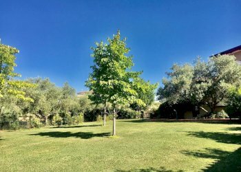 WhatsApp Image 2020-08-21 at 15.52.03 (4).jpeg - Casale Castelnuovo Magra - photo 30