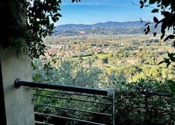 WhatsApp Image 2024-11-20 at 17.10.16 (3).jpeg - Villa Sarzana - foto 6