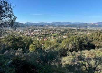 WhatsApp Image 2024-11-20 at 17.10.16 (6).jpeg - Villa Sarzana - foto 7