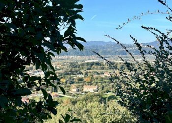 WhatsApp Image 2024-11-20 at 17.10.41 (6).jpeg - Villa Sarzana - foto 8