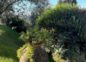 WhatsApp Image 2024-11-20 at 17.10.58 (2).jpeg - Villa Sarzana - foto 17