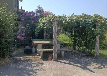 giardino - Villa Via Monticelli, Badia Pavese - foto 5