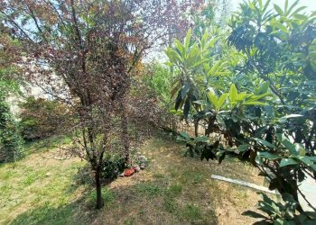 giardino - Villa Via Creta, Ziano Piacentino - foto 8