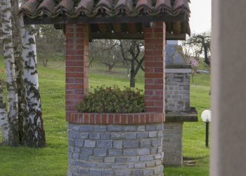 Esterni-02.jpg - Villa Cherasco - foto 12