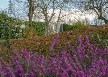 Esterni-08.jpg - Villa Cherasco - foto 18