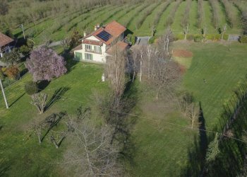 Esterni-18.jpg - Villa Cherasco - foto 19