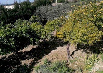 foto.jpg - Villa Dattilo, Paceco - photo 15