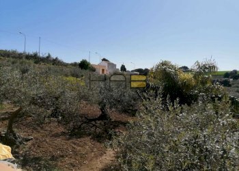 foto3.jpg - Villa Dattilo, Paceco - photo 16