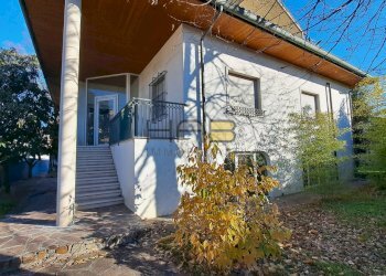 20250117_111034.jpg - Locale Commerciale Via San Filippo Benizzi 8, Padova - foto 1