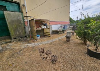 GIARDINO - Independent house Via Borasina 38, Serra Riccò - photo 14