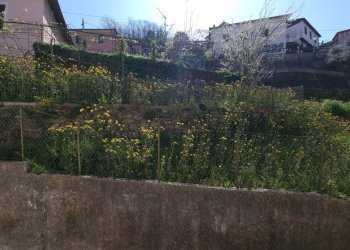 affaccio lato cucina - Apartment Salita Serra Riccò 13, Genova - photo 21