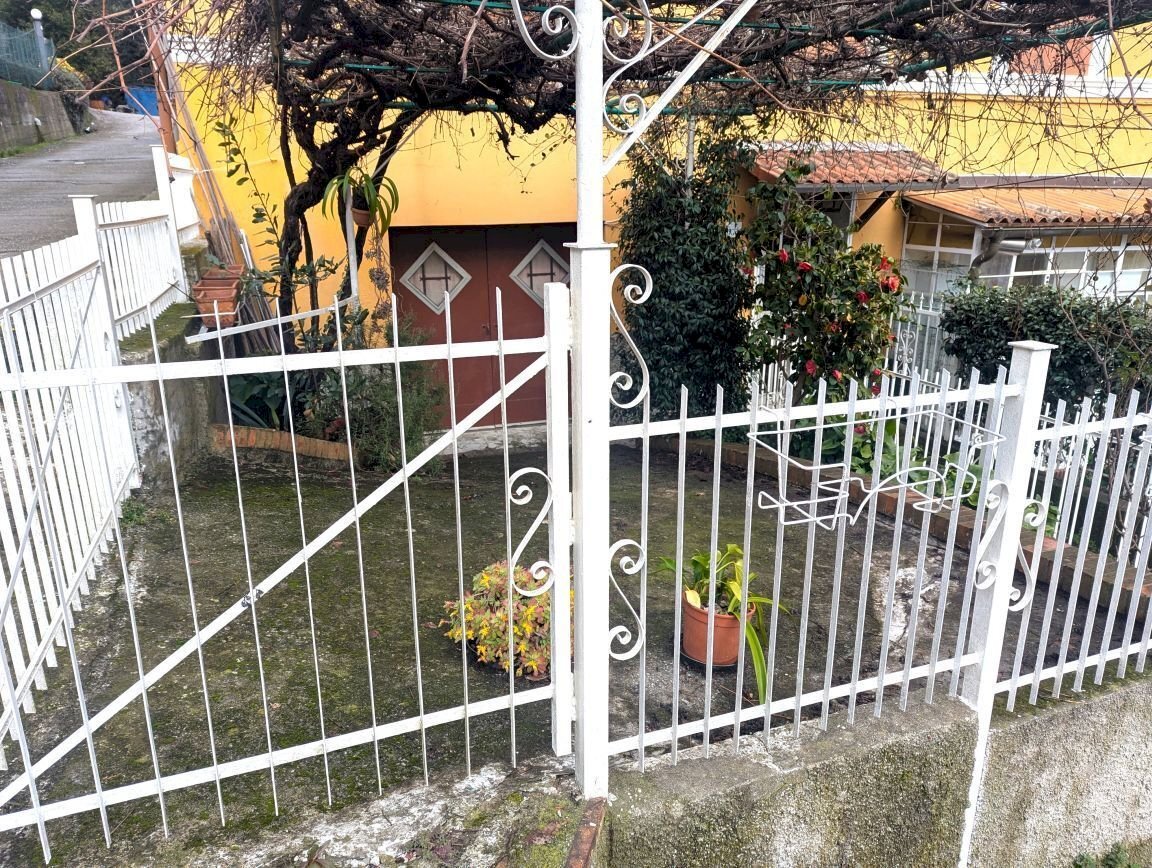 giardino - Appartamento Via Natale Gallino 76A, Genova - foto 3