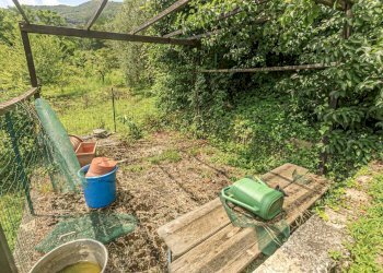 giardino (3) (Copy).jpg - Appartamento Via Torbi 7, Ceranesi - foto 30