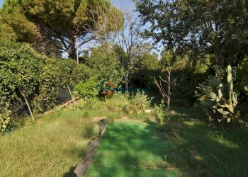 GIARDINO / PIAZZALE - Commercial Premises Via Aiaccia 64, Collesalvetti - photo 15