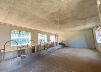 006.jpg - Rustico Frazione Villa 8, Serravalle Langhe - foto 6