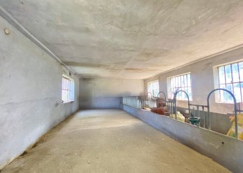 007.jpg - Rustico Frazione Villa 8, Serravalle Langhe - foto 7