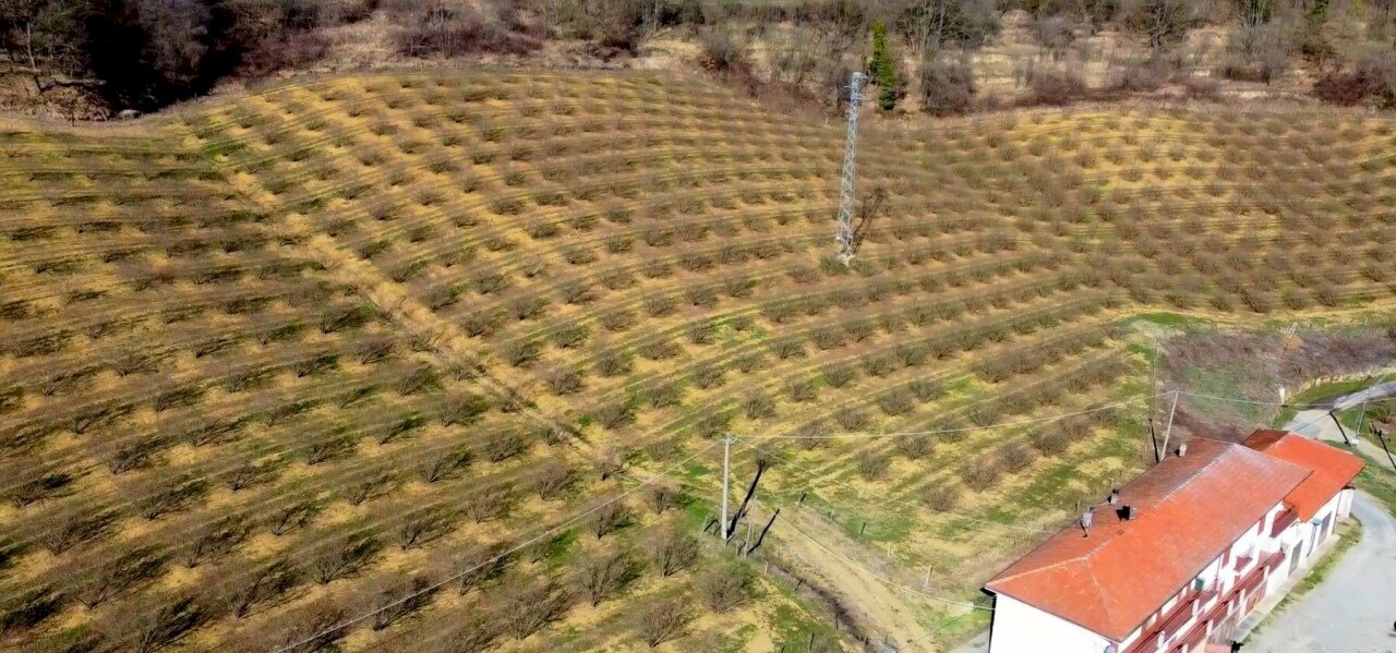 002.jpg - Casale Frazione Robertiero 14, Gorzegno - photo 3