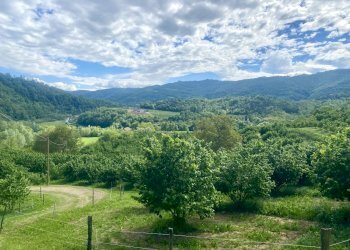 20.jpeg - Casale Frazione Robertiero 14, Gorzegno - photo 22