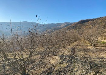 image00002.jpeg - Casale Frazione Robertiero 14, Gorzegno - photo 2