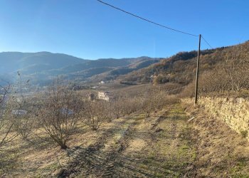 image00003.jpeg - Casale Frazione Robertiero 14, Gorzegno - photo 25