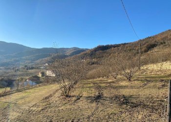 image00001.jpeg - Casale Frazione Robertiero 14, Gorzegno - photo 26