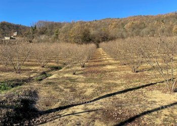 image00006.jpeg - Casale Frazione Robertiero 14, Gorzegno - photo 27