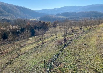 image00008.jpeg - Casale Frazione Robertiero 14, Gorzegno - photo 28