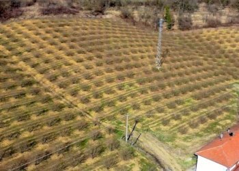 002.jpg - Casale Frazione Robertiero 14, Gorzegno - foto 3