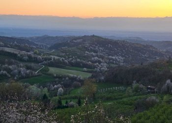 017.jpeg - Villa via bricco broncio, Serravalle Langhe - foto 16