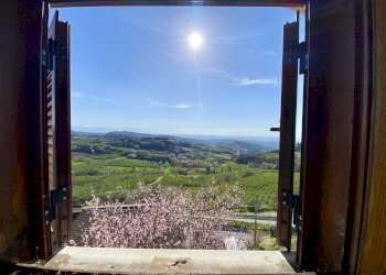 012.jpeg - Villa via bricco broncio, Serravalle Langhe - foto 11