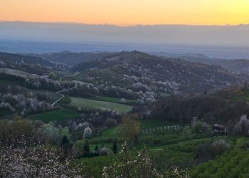 017.jpeg - Villa via bricco broncio, Serravalle Langhe - foto 16