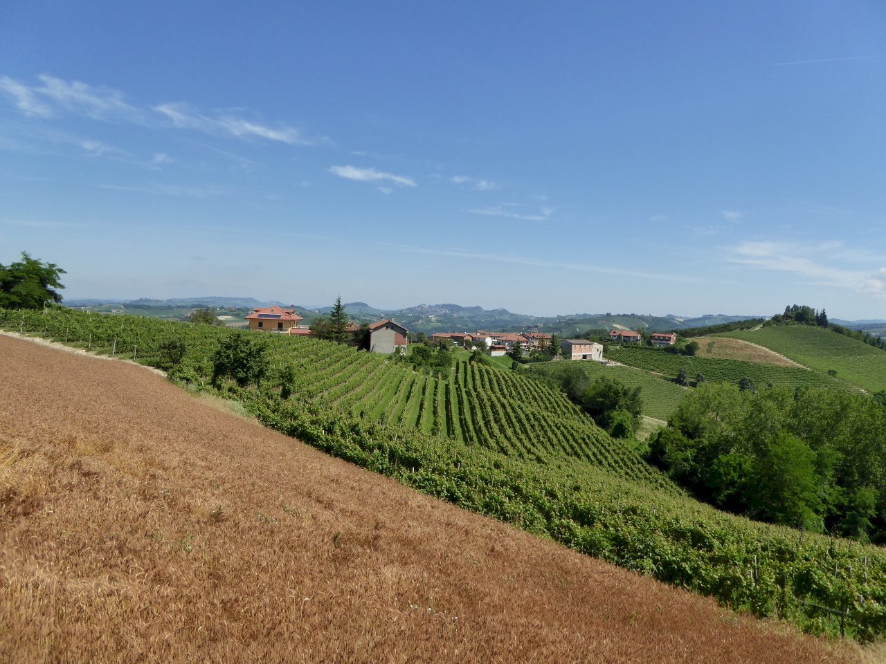 001.JPG - Independent house Borgata Pamparato 29, Dogliani - photo 1