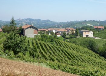 002.JPG - Casa indipendente Borgata Pamparato 29, Dogliani - foto 2