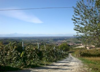 009.JPG - Casa indipendente Borgata Pamparato 29, Dogliani - foto 9