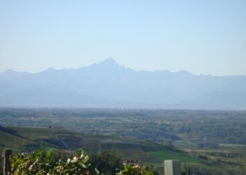 010.JPG - Casa indipendente Borgata Pamparato 29, Dogliani - foto 10