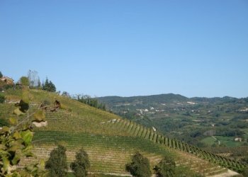 012.JPG - Casa indipendente Borgata Pamparato 29, Dogliani - foto 12