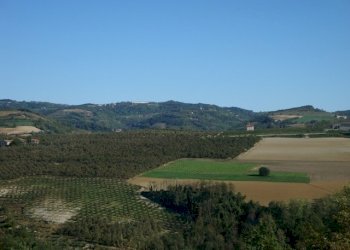 013.JPG - Casa indipendente Borgata Pamparato 29, Dogliani - foto 13