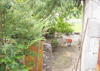 cortile - Villa Strada Paganina 12, Roccabianca - foto 21