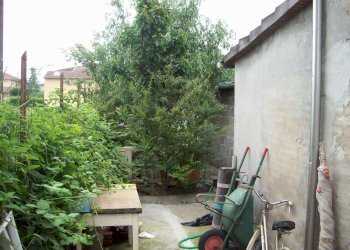 cortile - Villa Strada Paganina 12, Roccabianca - foto 22