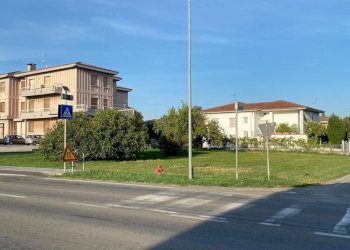 IMG-20250918-WA0007.jpg - Terreno edificabile Strada Provinciale 15, Roccabianca - foto 5