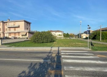 IMG-20250918-WA0010.jpg - Terreno edificabile Strada Provinciale 15, Roccabianca - foto 4