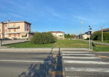 IMG-20250918-WA0012.jpg - Terreno edificabile Strada Provinciale 15, Roccabianca - foto 6