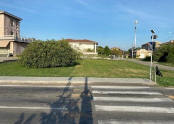 IMG-20250918-WA0013.jpg - Terreno edificabile Strada Provinciale 15, Roccabianca - foto 7