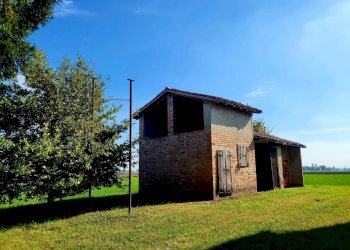 20221003_150227_resized_1.jpg - Terratetto - Terracielo Via Ponticella 2, Sissa Trecasali - foto 3