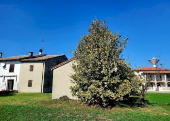 20221003_150010_resized_1.jpg - Terratetto - Terracielo Via Ponticella 2, Sissa Trecasali - foto 4